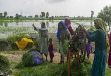 Photo of Women Cotton Workers Lead Climate Literacy Drive in Matiari to Fight Climate and Labor Challenges