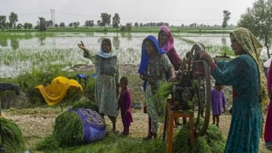 Photo of Women Cotton Workers Lead Climate Literacy Drive in Matiari to Fight Climate and Labor Challenges
