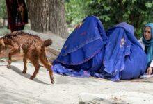 Photo of Afghan Women Stripped of Basic Rights as Taliban Crackdown Intensifies