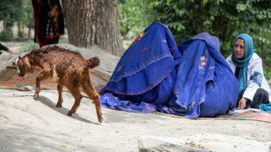 Photo of Afghan Women Stripped of Basic Rights as Taliban Crackdown Intensifies