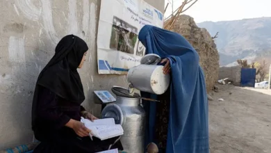 Photo of Afghan Women Face One of the World’s Worst Gender Gaps, Says UN Women Report
