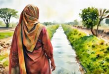 Photo of Women-Led Urban Farming: A Green Revolution for Pakistan’s Food Security