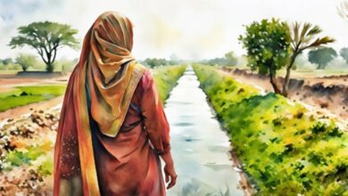 Photo of Women-Led Urban Farming: A Green Revolution for Pakistan’s Food Security