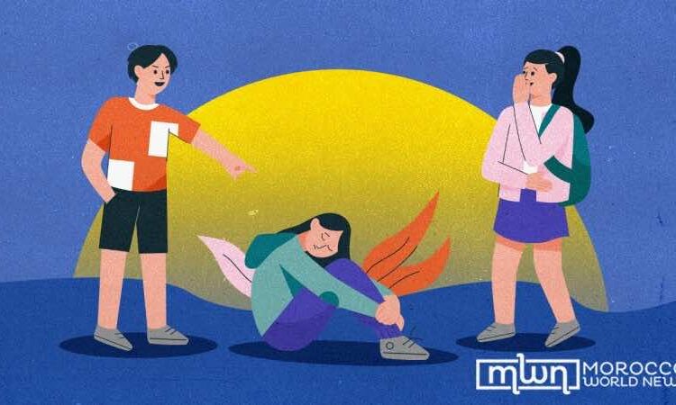 Moroccan NGO Urges Legal Action Against Growing Online Bullying of Women and Girls