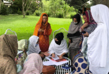Photo of Gender-Based Violence Addressed as a Public Health Concern in Chitral