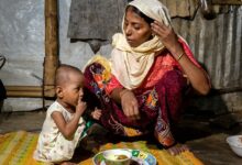 Photo of UN Report Warns Global Retreat from Gender Equality Could Cost Generations