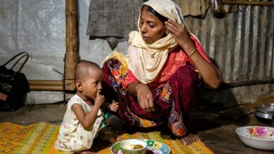 Photo of UN Report Warns Global Retreat from Gender Equality Could Cost Generations