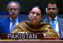 Photo of Pakistan Raises Voice for Kashmiri and Palestinian Women at UN Security Council