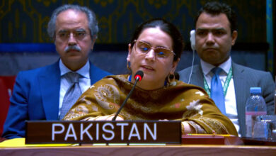 Photo of Pakistan Raises Voice for Kashmiri and Palestinian Women at UN Security Council