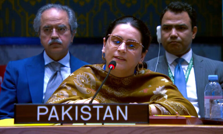 Pakistan Raises Voice for Kashmiri and Palestinian Women at UN Security Council