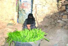 Photo of Women Leaders Unite for Peace and Recovery in Yemen
