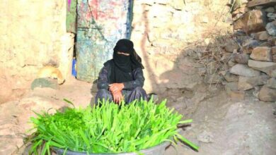 Photo of Women Leaders Unite for Peace and Recovery in Yemen