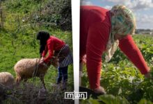 Photo of ElleMoutmir Empowers Morocco’s Rural Women to Lead Sustainable Agricultural Change