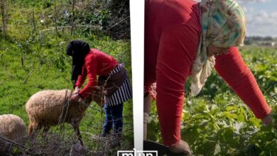 Photo of ElleMoutmir Empowers Morocco’s Rural Women to Lead Sustainable Agricultural Change