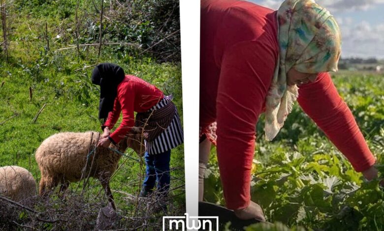ElleMoutmir Empowers Morocco’s Rural Women to Lead Sustainable Agricultural Change