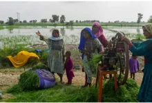 Photo of Empowering Women is Key to Tackling Pakistan’s Population Growth Crisis