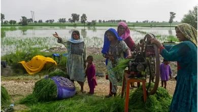 Photo of Empowering Women is Key to Tackling Pakistan’s Population Growth Crisis