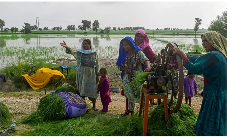 Empowering Women is Key to Tackling Pakistan’s Population Growth Crisis