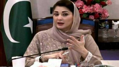 Photo of Punjab Reaffirms Zero Tolerance for Violence Against Women on International Day
