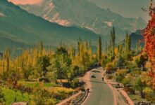 Photo of The Pakistan Tourism Climate Change Alliance has been formed