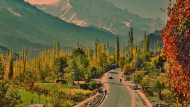 Photo of The Pakistan Tourism Climate Change Alliance has been formed