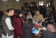 Photo of BISP Launches Social Protection Wallet to Aid 10 Million Women
