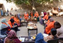 Photo of Pakistan Honors Female Polio Workers for Key Role in Eradication Drive