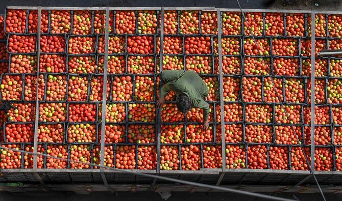 Sindh Woman-Led Startup Turns Tomatoes into Affordable Powder